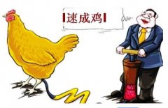 你知道嗎？獸藥濫用已成食品安全問題之一