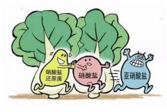 食品安全檢測儀如何檢測硝酸鹽？