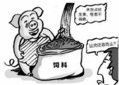食品安全檢測儀的發(fā)展
