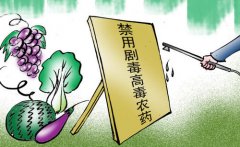 農(nóng)殘速測(cè)儀在草莓種植當(dāng)中有什么應(yīng)用？