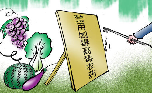 農(nóng)殘速測儀