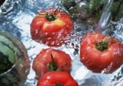 食品安全檢測的好幫手——農(nóng)殘快速檢測儀