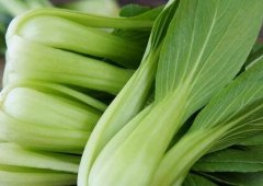 便攜式農(nóng)藥檢測(cè)儀消除農(nóng)產(chǎn)品“安全隱患”